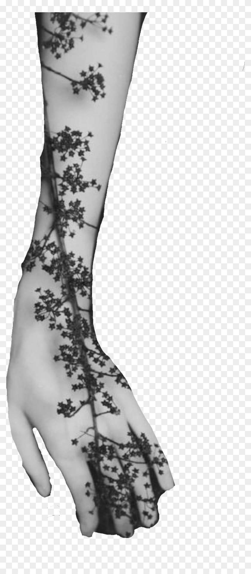 Slytherin, Finding Yourself, Mood Boards, Oc, Soul - Tights Clipart