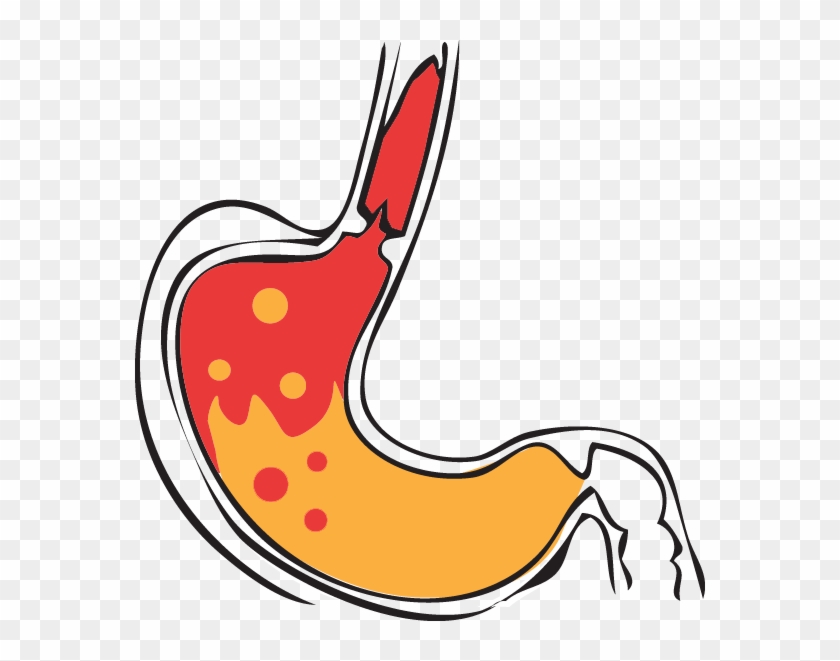 Thumb Image - Clip Art Stomach Png Transparent Png