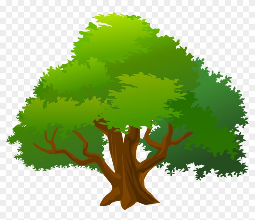 Mango Tree Clip Art , Png Download - Mango Tree Clip Art Transparent Png #2584037