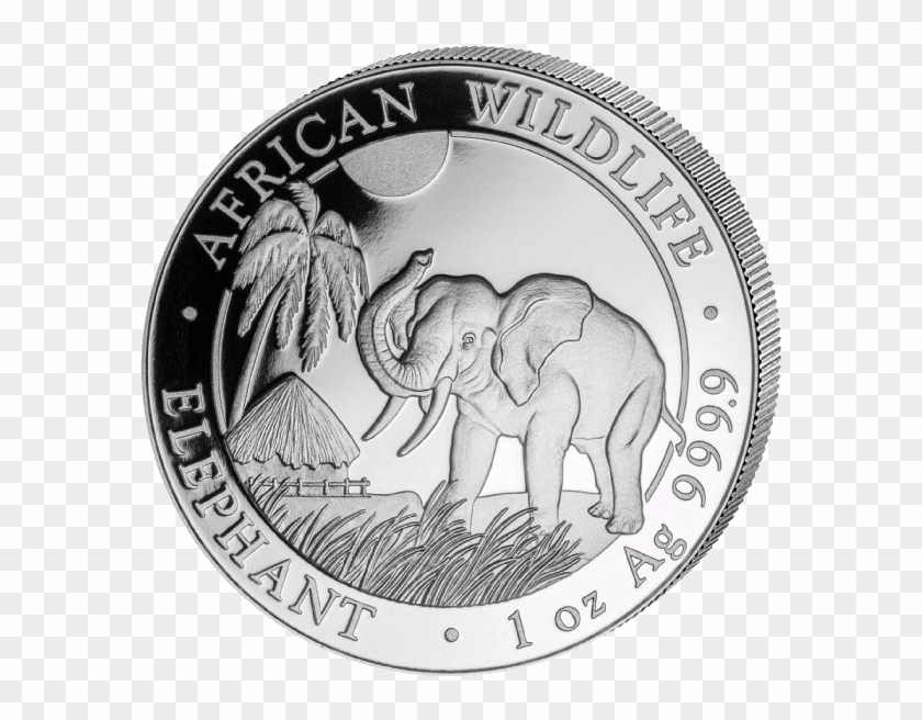 Somalia Elephant 1oz Silver Coin - Somalia Elephant 1 4 Oz 2017 Silver Clipart