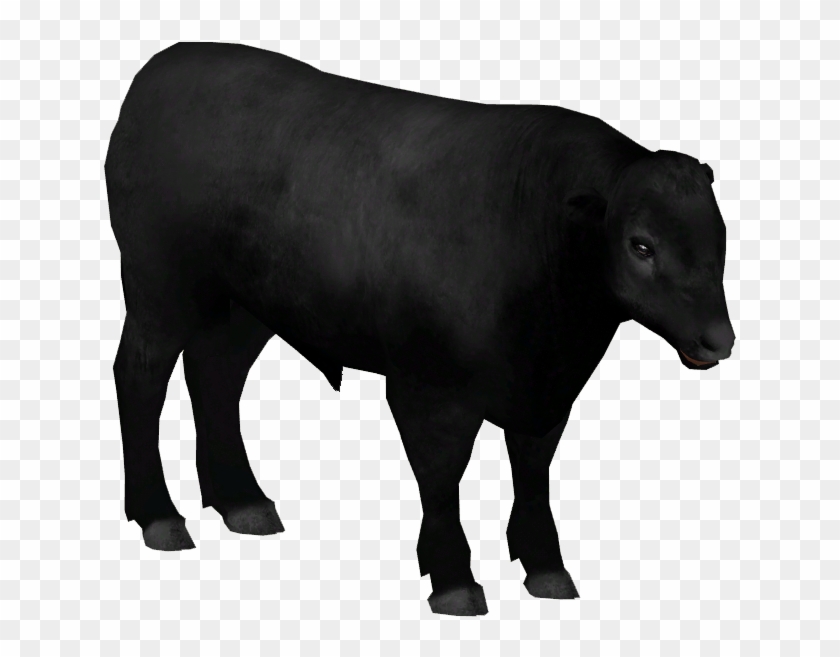Aberdeen Angus Cattle - Cattle Clipart #2585205