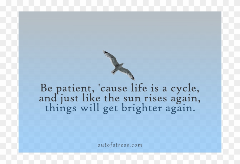 Life Is A Cycle Of Events, And Just Like The Sun Rises - European Herring Gull Clipart