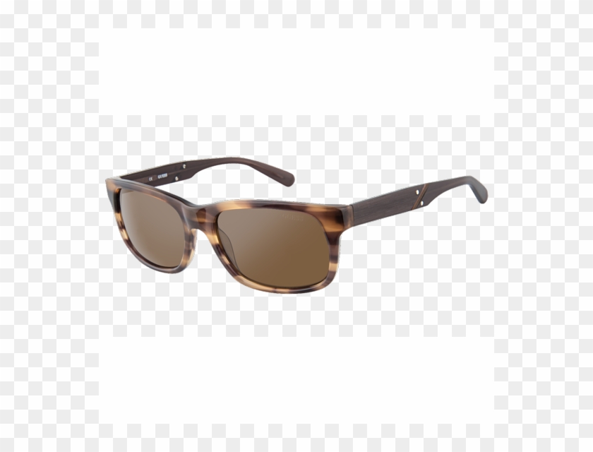 Vector Free Download Drawing Sunglasses Tone - Still Life Photography Clipart #2586767