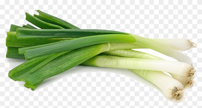 Vegetable Leek Png Hd Quality - Scallion Or Spring Onion Clipart #2587309