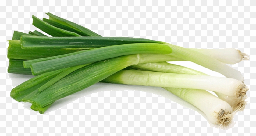 Vegetable Leek Png Hd Quality - Scallion Or Spring Onion Clipart