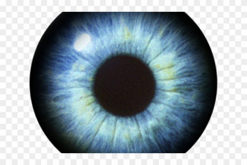 Clipart Wallpaper Blink - Portable Network Graphics - Png Download