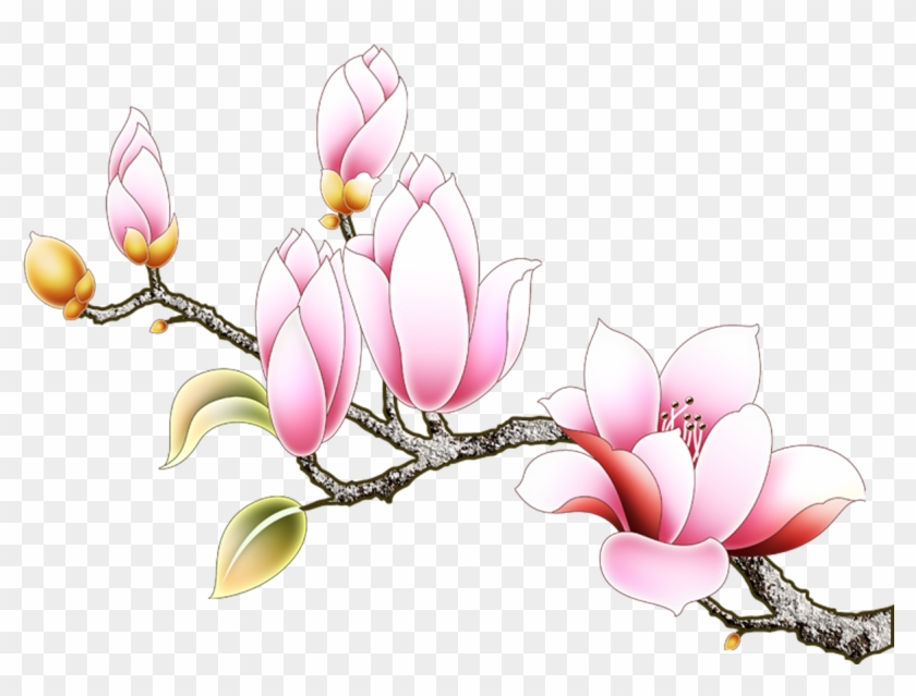 Vector Flowers Magnolia - Rosa Glauca Clipart