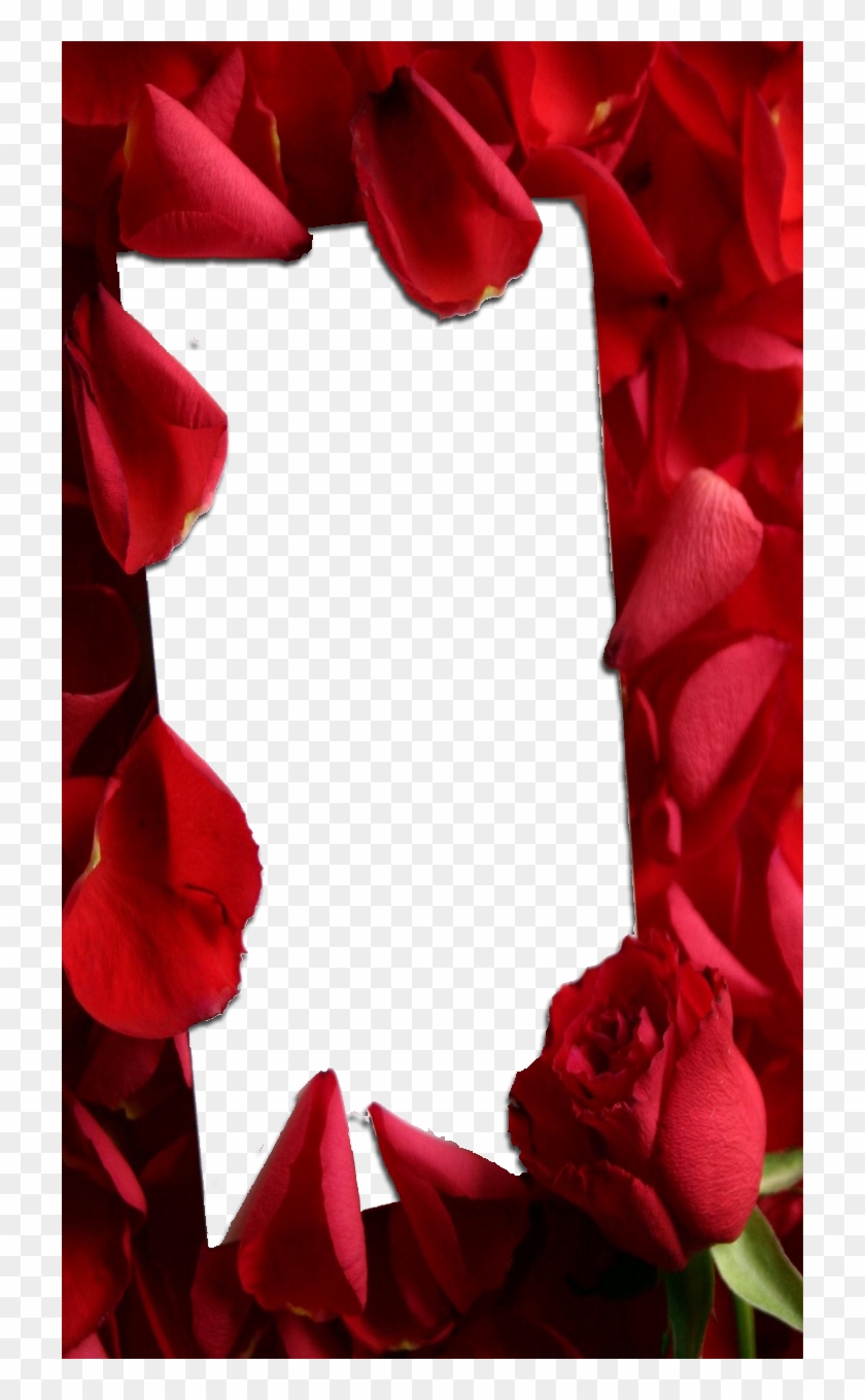 Love Frame With Red Roses - Special Love Clipart #2588233