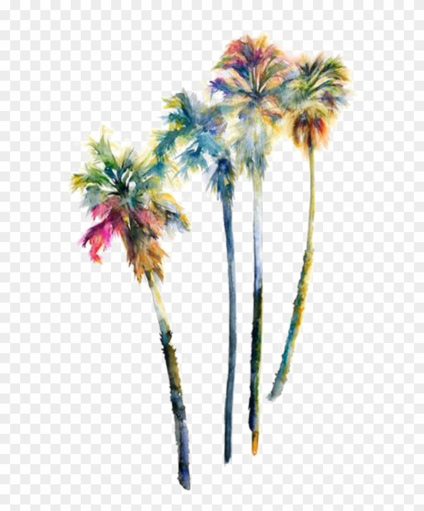 Sign In To Save It To Your Collection - Coloured Palm Tree Tattoo Clipart #2588412