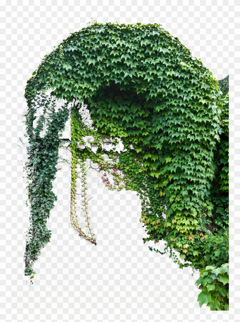 I Dug Out My Old Copy Of Pd Particles From Thebest3d - Ivy Deviant Png Clipart #2589172