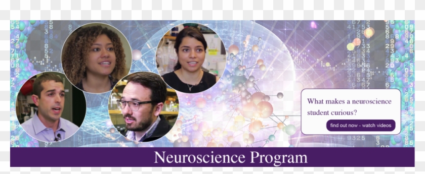 What Makes Neuroscience Students Curious - Photo Caption Clipart #2589289