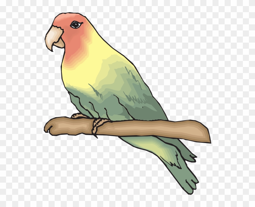 Peachfaced Lovebird Clip Art - Sketsa Gambar Burung Lovebird - Png Download #2589621