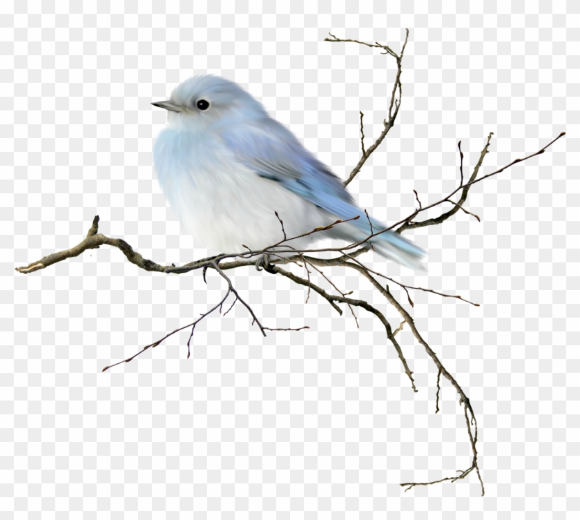 Alena1984 «florju Togetherinwinter El5 » На Яндекс - Water Color Bird Clipart - Png Download #2589660
