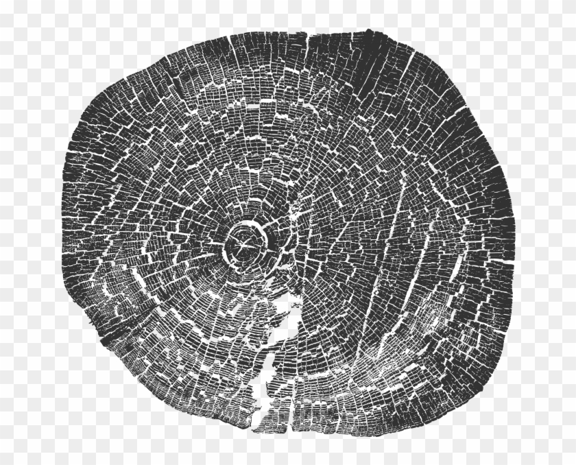 Wood Tree Stumps Pattern - Circle Clipart