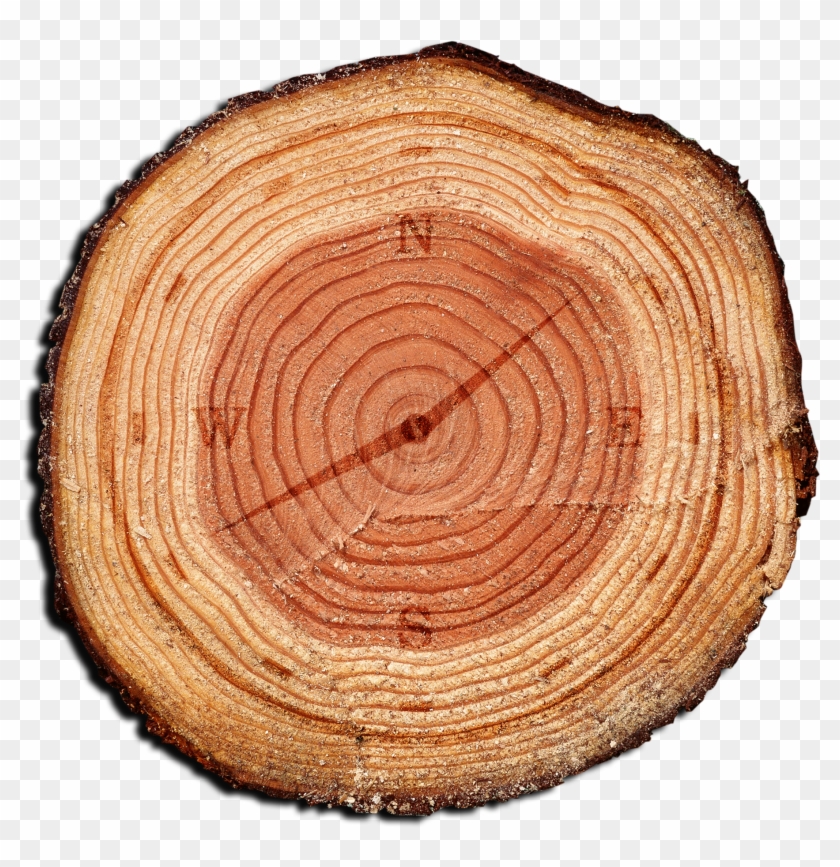 Aastarxf Ngad Tree Creative Time Transprent Png Clipart #2590409