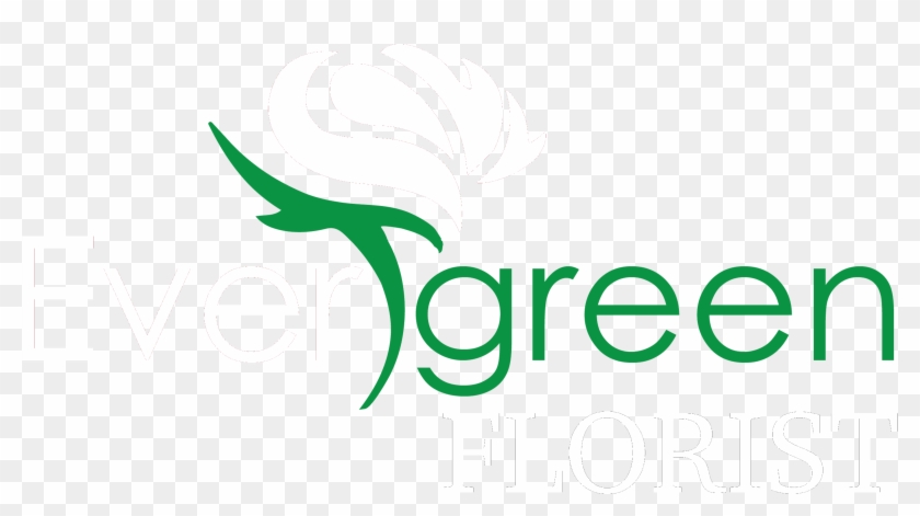 Arena Castelão , Png Download - Green Clipart #2591562