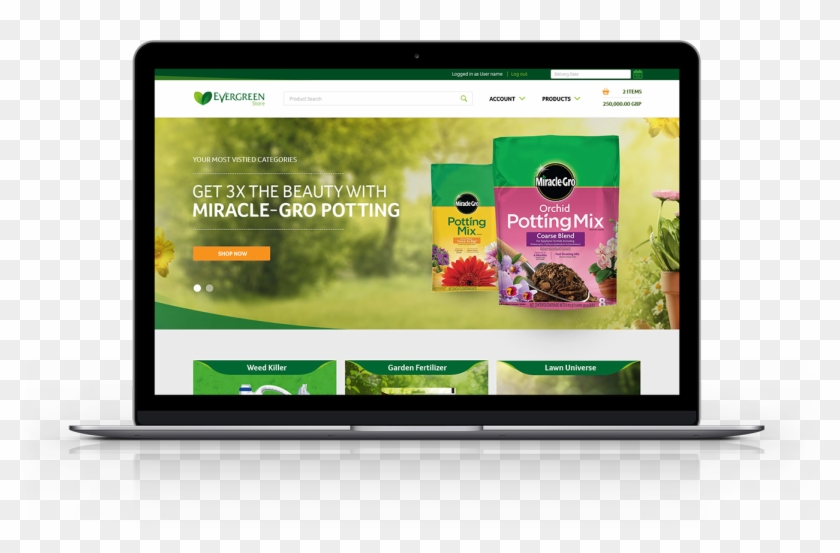 Evergreen B2b Ecommerce Web Design Overview - Laptop Clipart #2591768