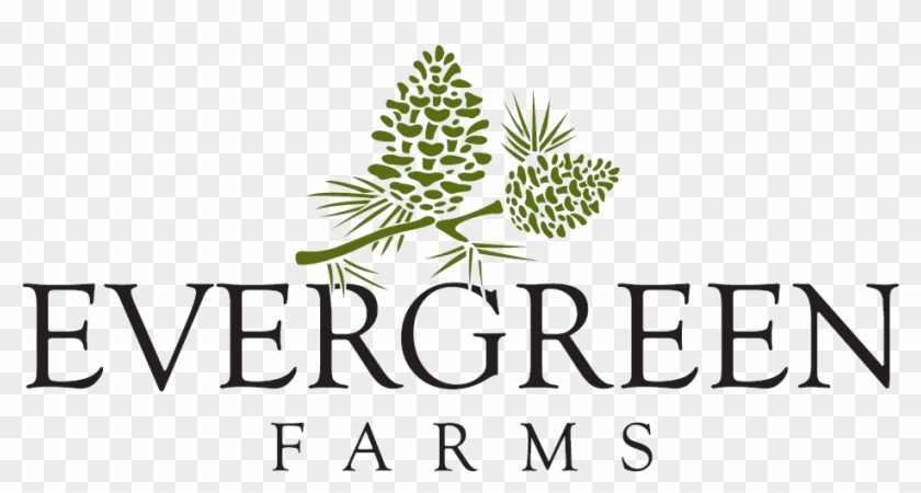 Welcome To The Evergreen Farms Community Located In - Temple University Clipart