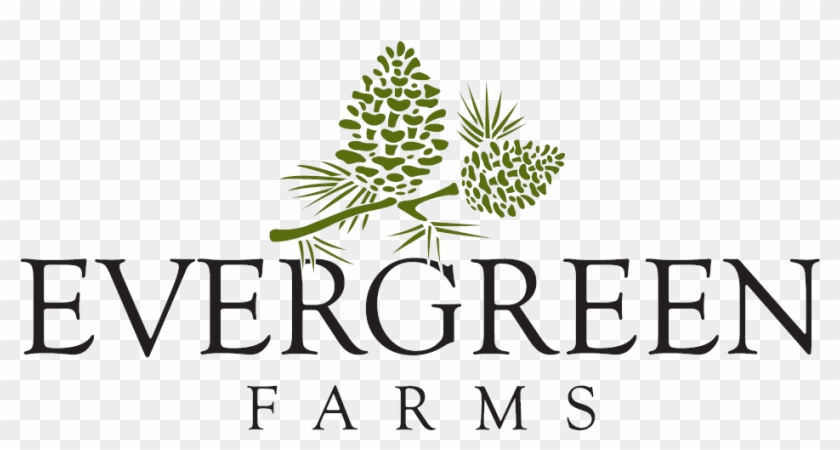 Welcome To The Evergreen Farms Community Located In - Temple University Clipart #2591859