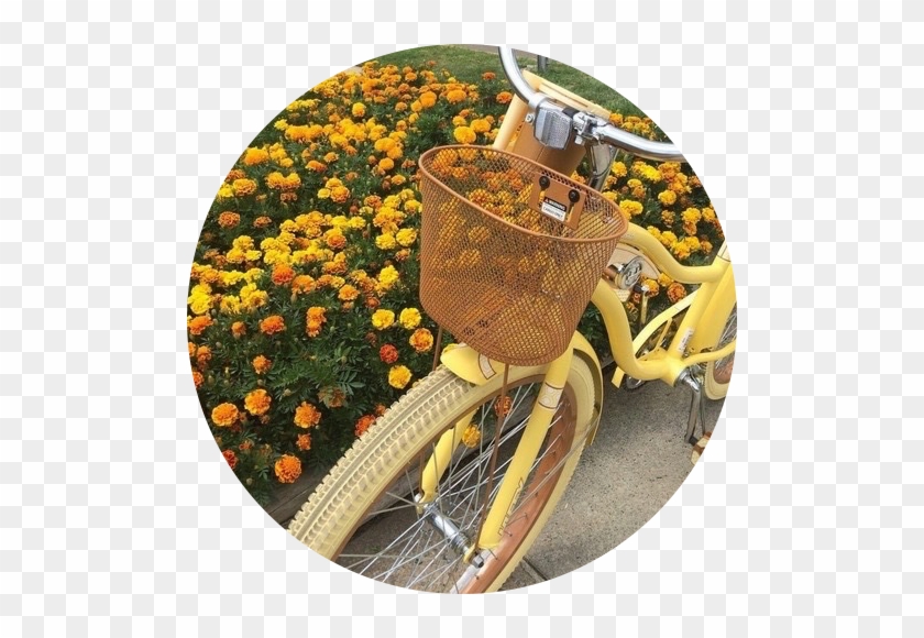 #yellow #tumblr #vintage #bike #overlay #collage#freetoedit - Yellow And Gray Aesthetic Clipart #2592346