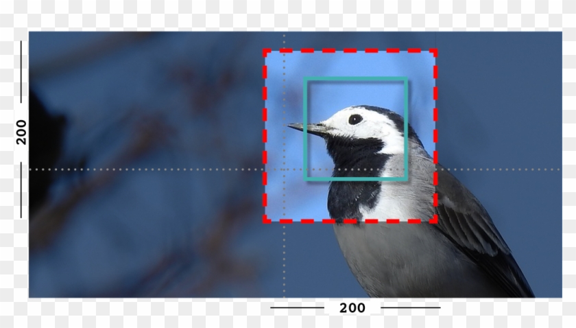 Example Of Fill And Closeness Filter On An Image With - Woodpecker Clipart