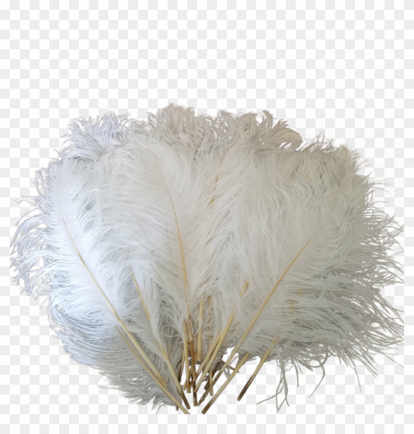 3024 X 3024 2 0 - Grass Clipart