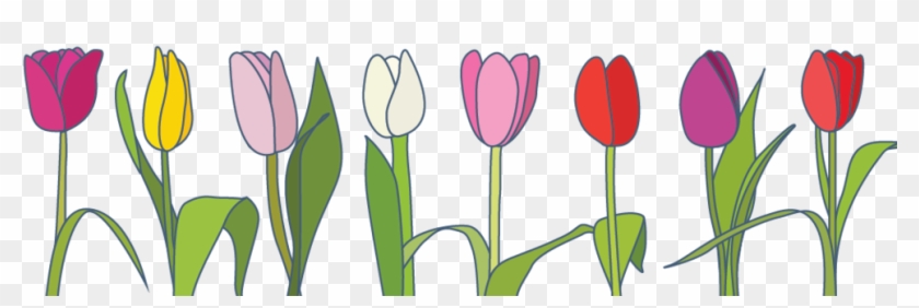 1000 X 329 6 0 - Spring Banners Transparent Clipart - Png Download