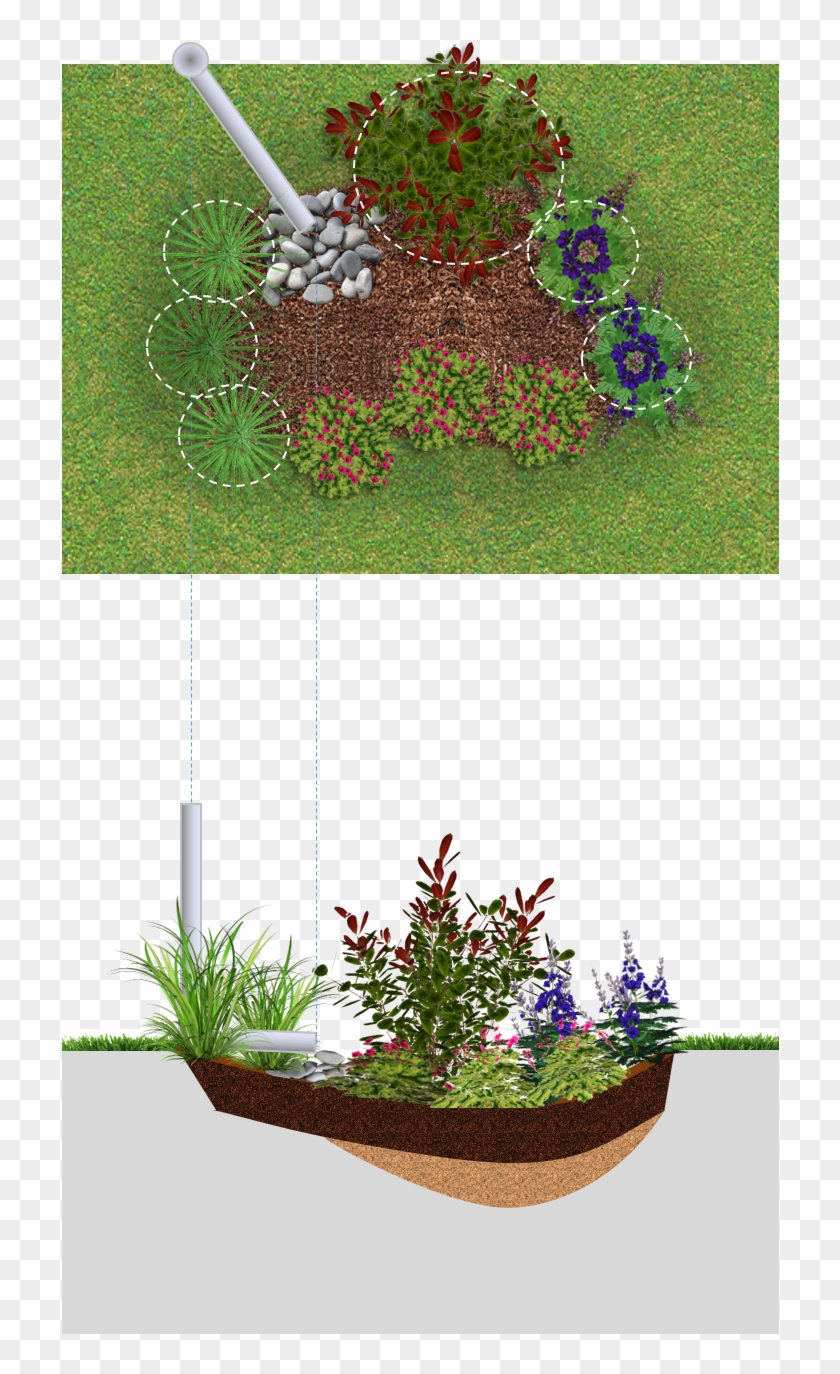 Rain Garden , Png Download - Flowerpot Clipart
