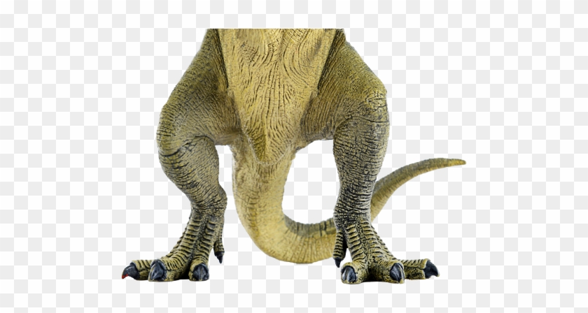 Dinosaur Legs Clipart