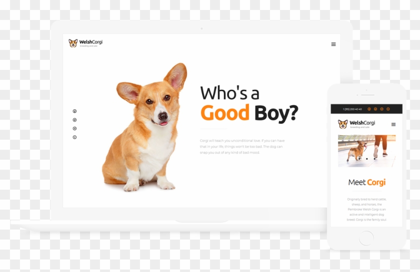 Welsh Corgi Dog Breeding And Sale Wp Theme - Pembroke Welsh Corgi Clipart