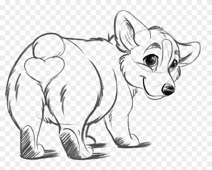 Drawn Corgi Transparent - Corgi Lineart Clipart #263041
