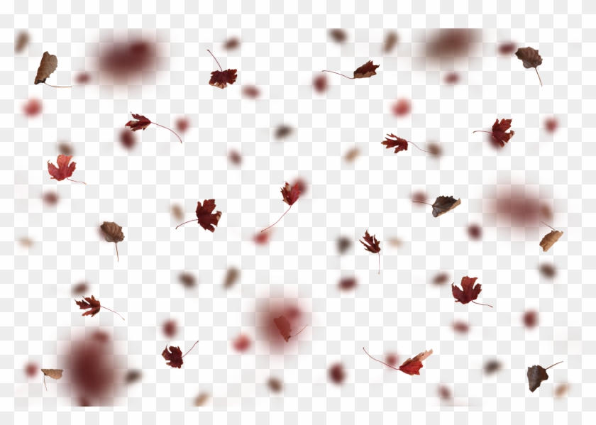 2048 X 1365 127 - Leaf Overlay Png Clipart #263944