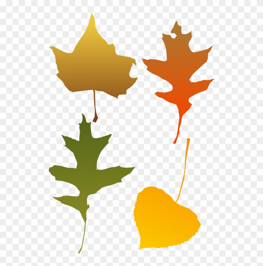 Autumn Leaves - Autumn Leaf Clip Art - Png Download #264296