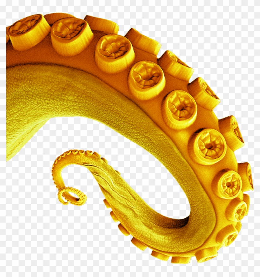 Join The Madness - Body Jewelry Clipart #264667