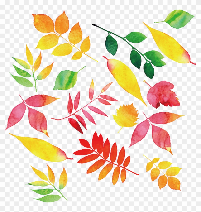 Autumn Leaf Color - Jesień Clipart