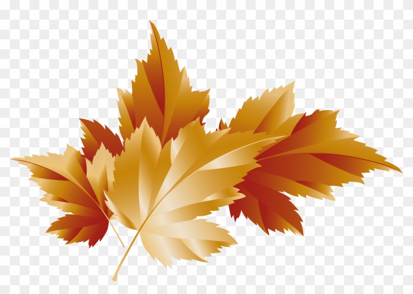 Collection Of Fall Transparent High Quality Ⓒ - Transparent Leaf Clip Art - Png Download