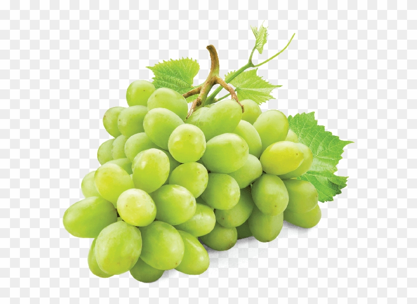 Skip To The Beginning Of The Images Gallery - White Grape Png Clipart #264920