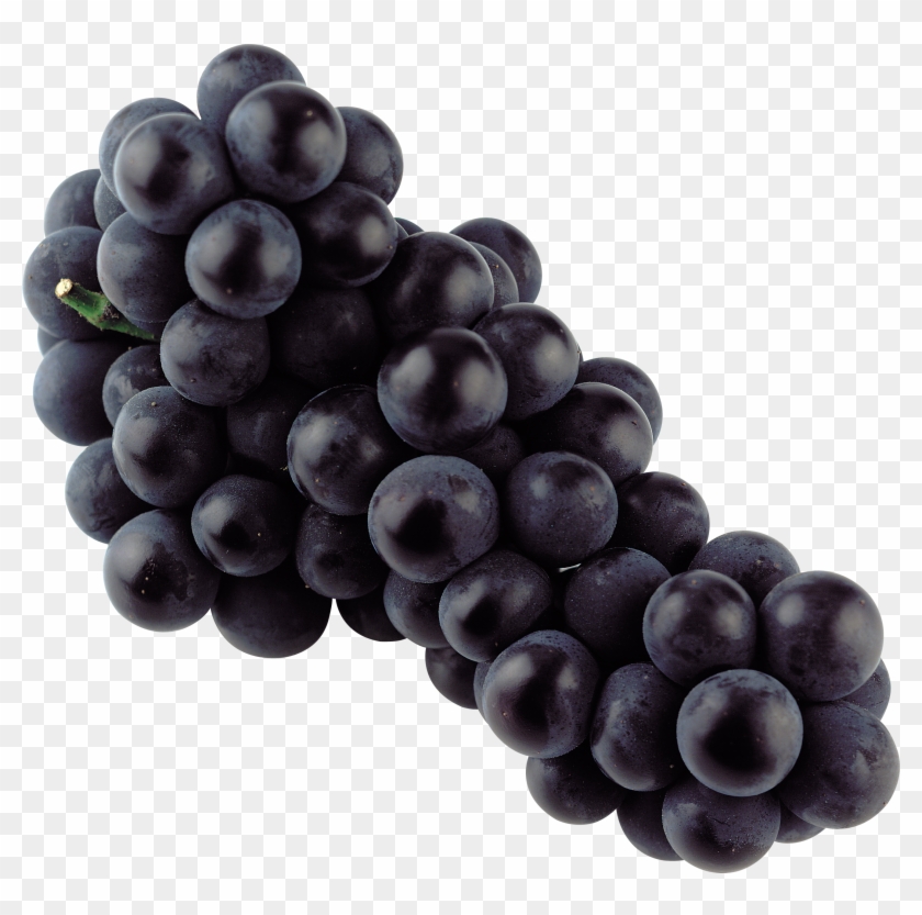 Black Grape Png Image - Black Grapes Png Clipart #265291