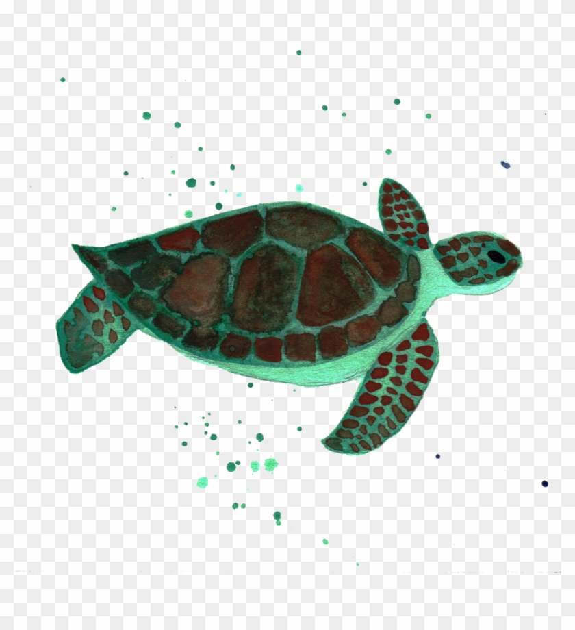 Turtle, Clip Art, Tortoise, Tortoise Turtle, Illustrations, - Kemp's Ridley Sea Turtle - Png Download #265484