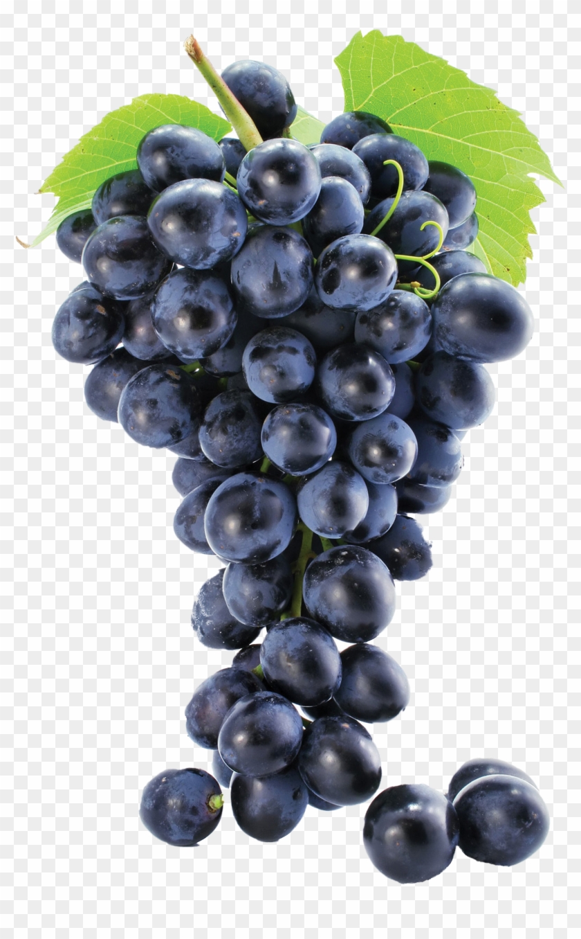 Grapes - Anar Khane Ka Sahi Time Clipart