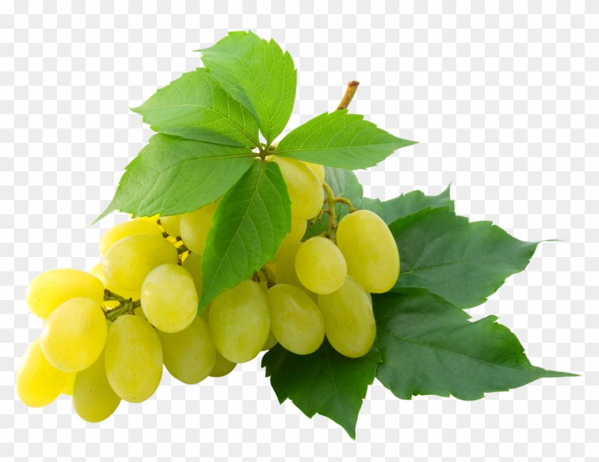 Grapes Png Clipart #265566