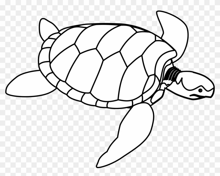 Jpg Black And White Library Clipart Green Line Art - Turtle Clip Art - Png Download