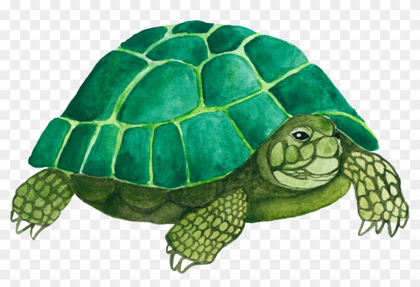 3653 X 2328 5 Clipart