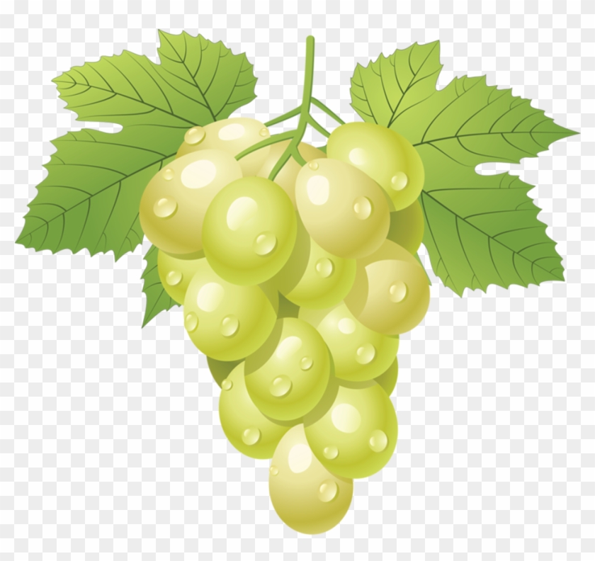 935 X 844 1 - Day On The Green 2010 Clipart