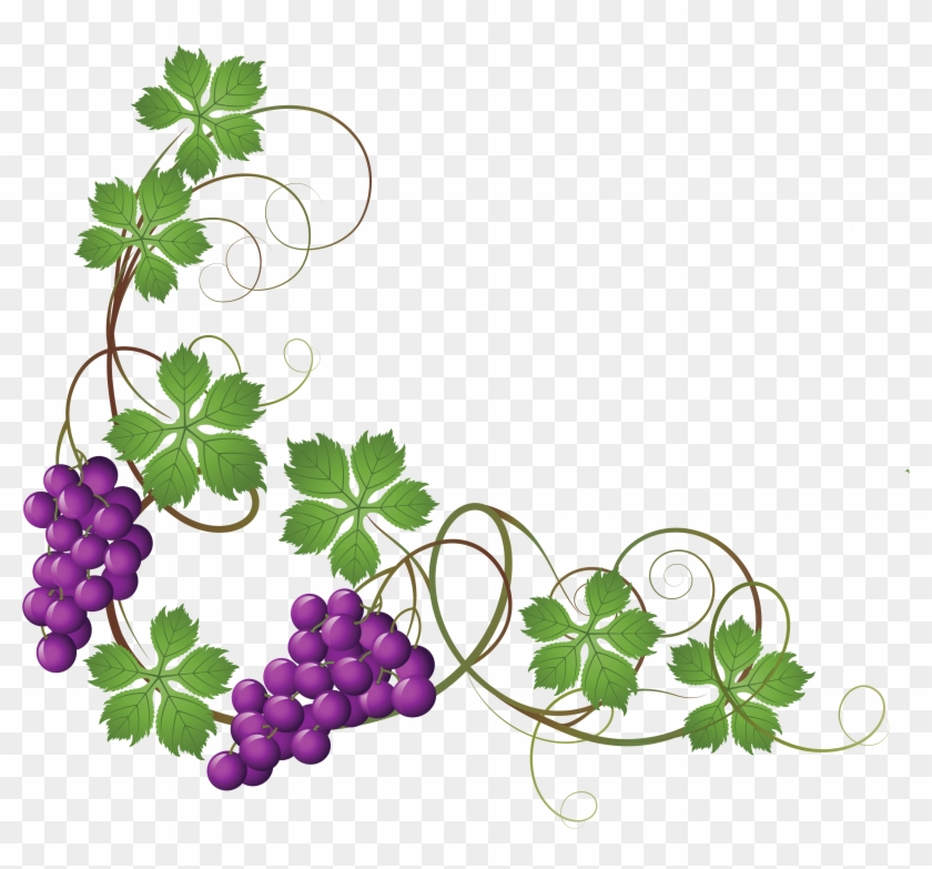 Transparent Vine Decoration Png Clipart Picture - Wine Grapes Clip Art #266291