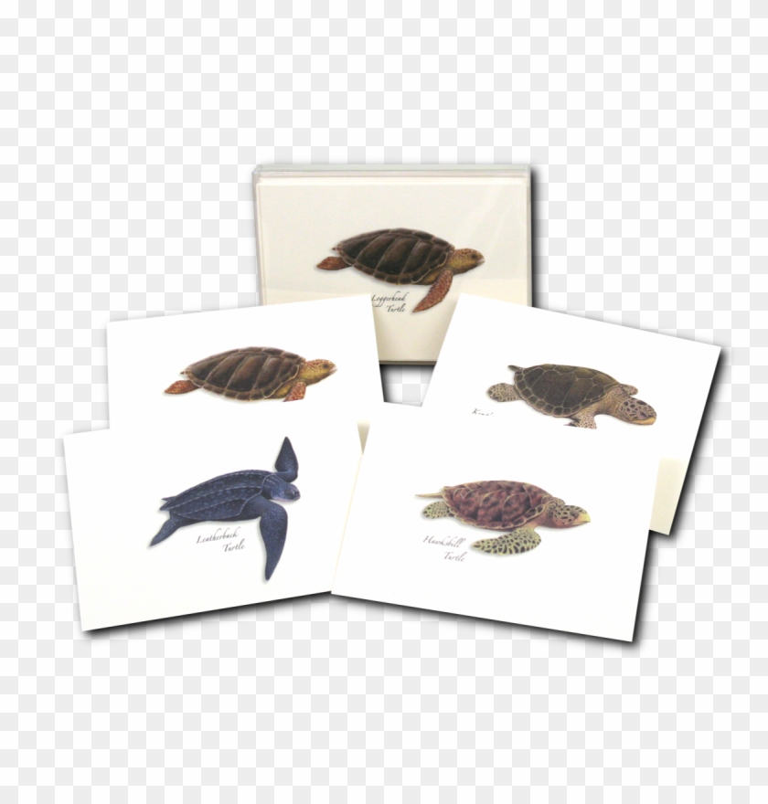 Sea Turtle Notecards - Leatherback Sea Turtle Clipart
