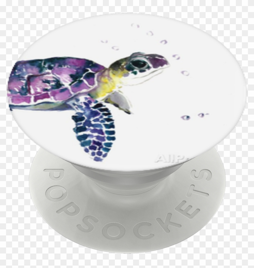 Sea Turtle, Popsockets - Olive Ridley Sea Turtle Clipart