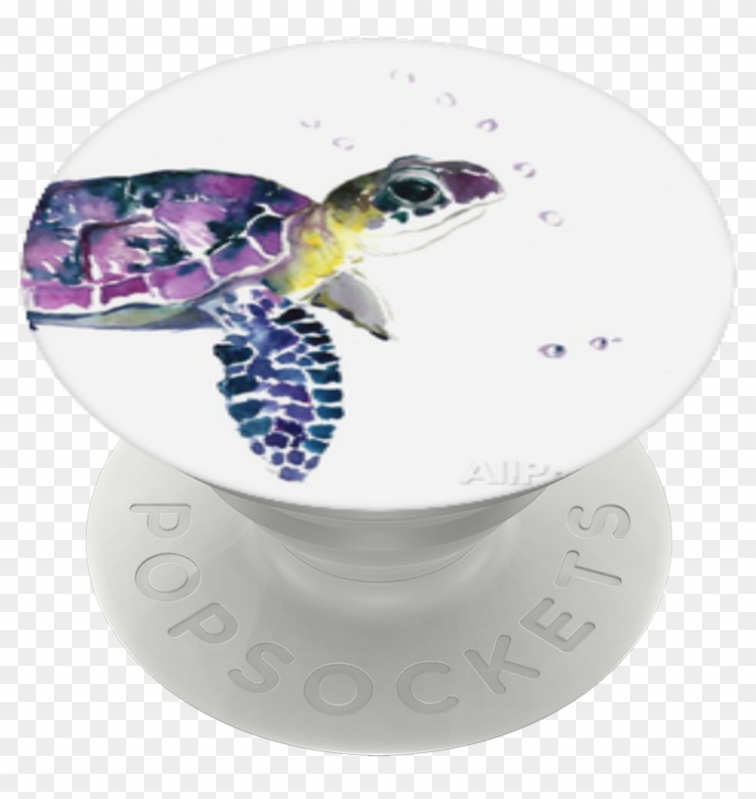 Sea Turtle, Popsockets - Olive Ridley Sea Turtle Clipart #266427