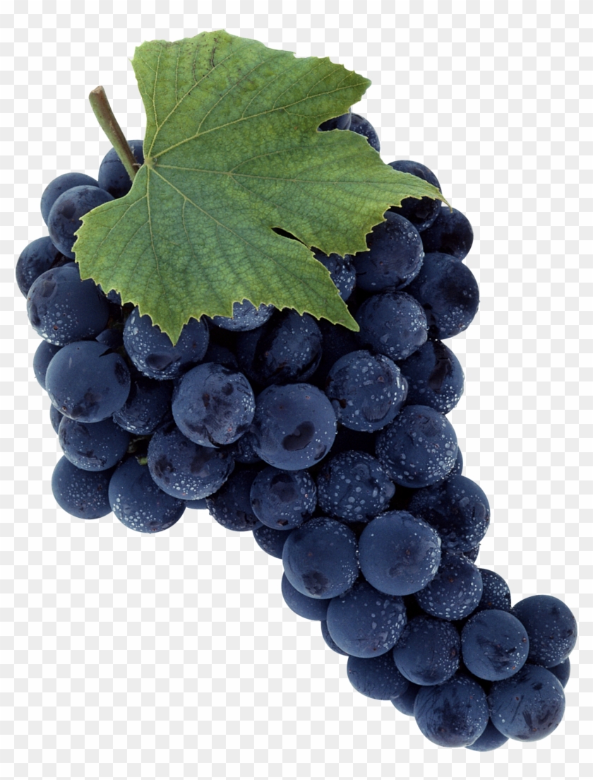 Download - Wine Grapes No Background Clipart