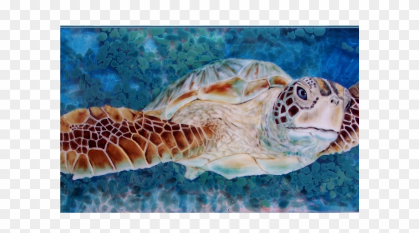 Hanging Sea Turtle - Hawksbill Sea Turtle Clipart #266593